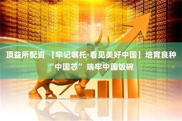 顶益所配资 【牢记嘱托·看见美好中国】培育良种“中国芯” 端牢中国饭碗
