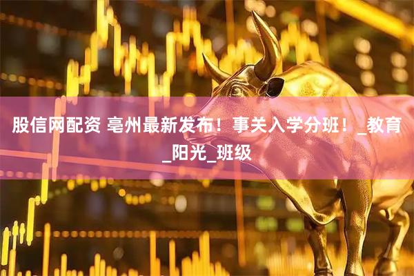 股信网配资 亳州最新发布！事关入学分班！_教育_阳光_班级