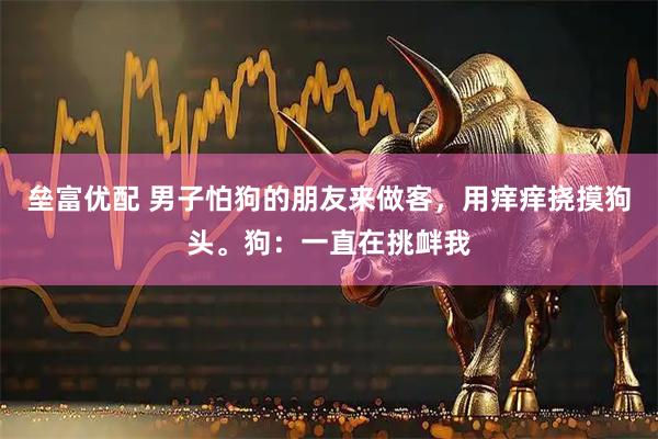 垒富优配 男子怕狗的朋友来做客，用痒痒挠摸狗头。狗：一直在挑衅我